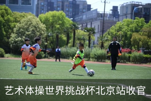 艺术体操世界挑战杯北京站收官 中国队再收2金4银